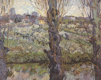 Vincent Van Gogh Orchard in Blossom with View of Arles (nn04) Spain oil painting art